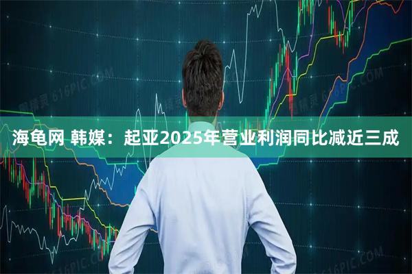 海龟网 韩媒：起亚2025年营业利润同比减近三成