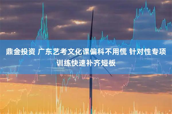 鼎金投资 广东艺考文化课偏科不用慌 针对性专项训练快速补齐短板