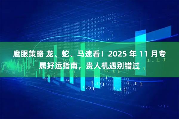 鹰眼策略 龙、蛇、马速看！2025 年 11 月专属好运指南，贵人机遇别错过