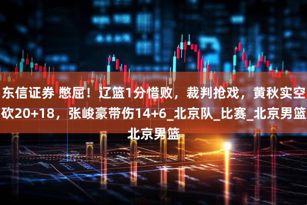 东信证券 憋屈！辽篮1分惜败，裁判抢戏，黄秋实空砍20+18，张峻豪带伤14+6_北京队_比赛_北京男篮